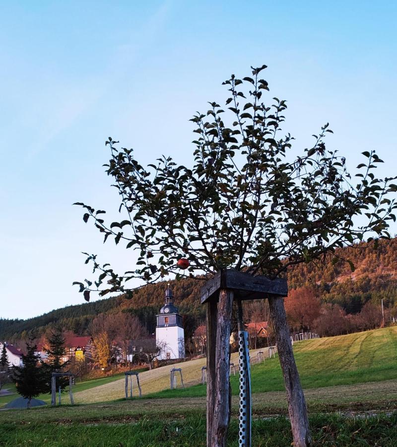 Ferienwohnung Haus Ulla Bad Blankenburg Exterior foto