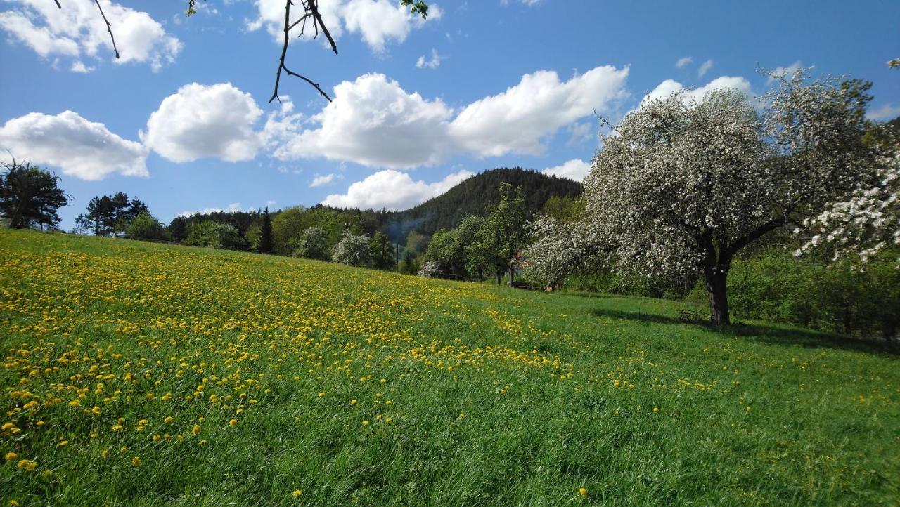 Ferienwohnung Haus Ulla Bad Blankenburg Exterior foto